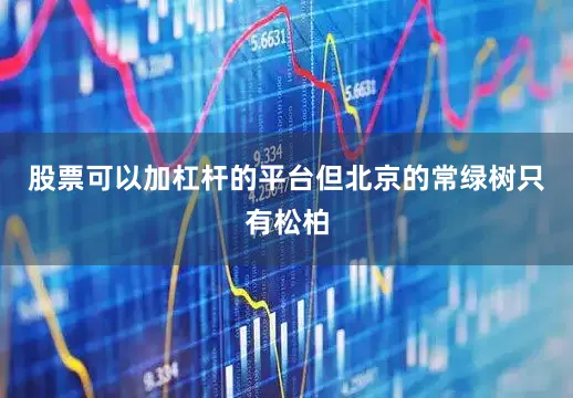 股票可以加杠杆的平台但北京的常绿树只有松柏