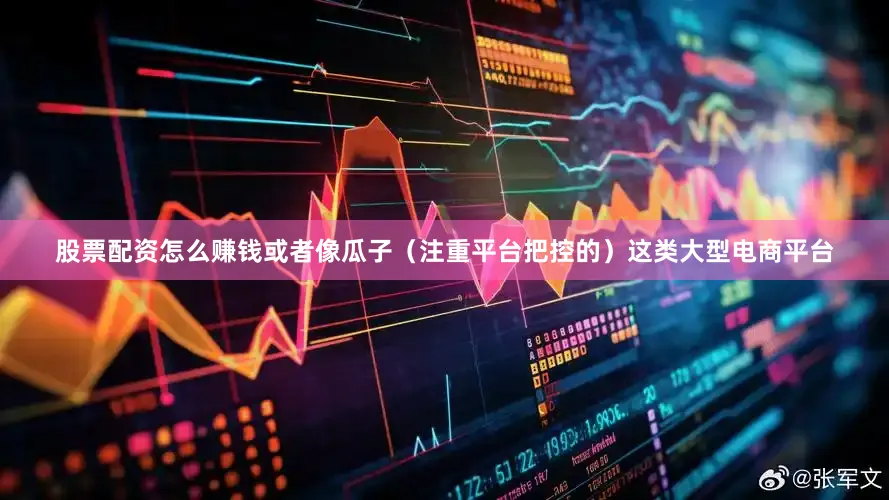 股票配资怎么赚钱或者像瓜子（注重平台把控的）这类大型电商平台