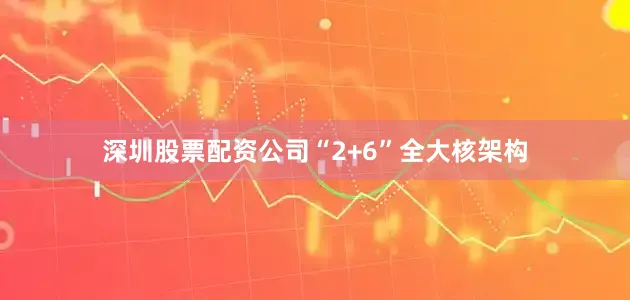 深圳股票配资公司“2+6”全大核架构